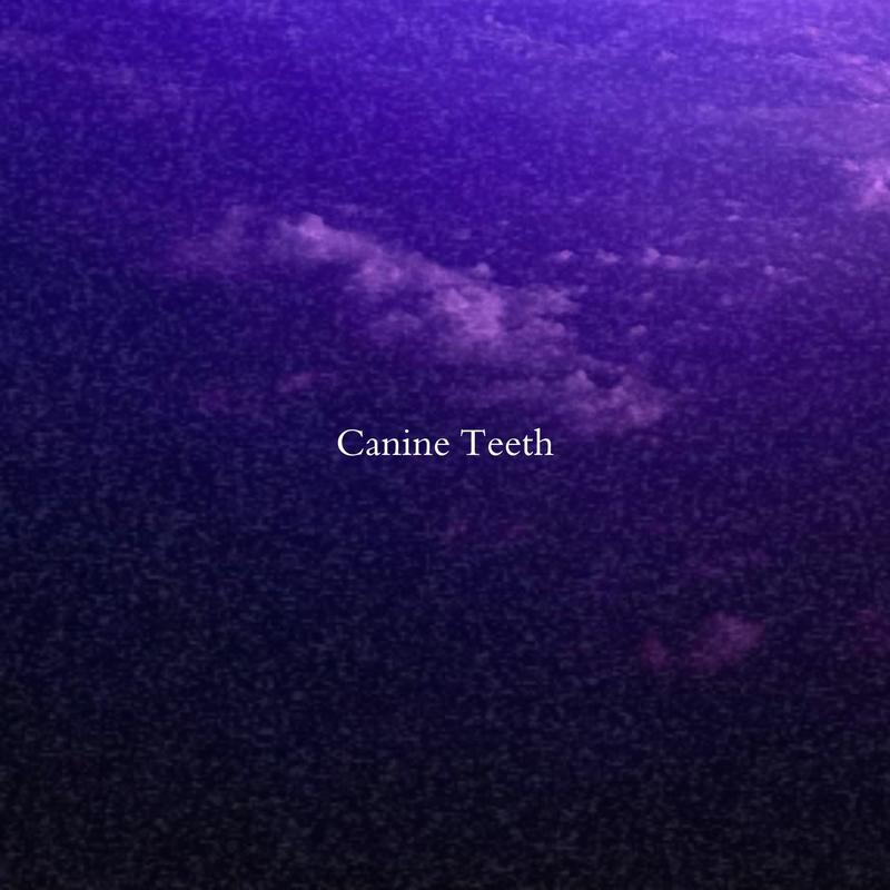 CanineTeeth封面