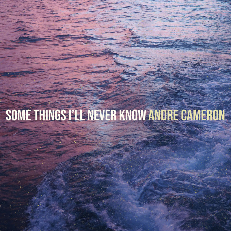 SomeThingsI’llNeverKnow封面