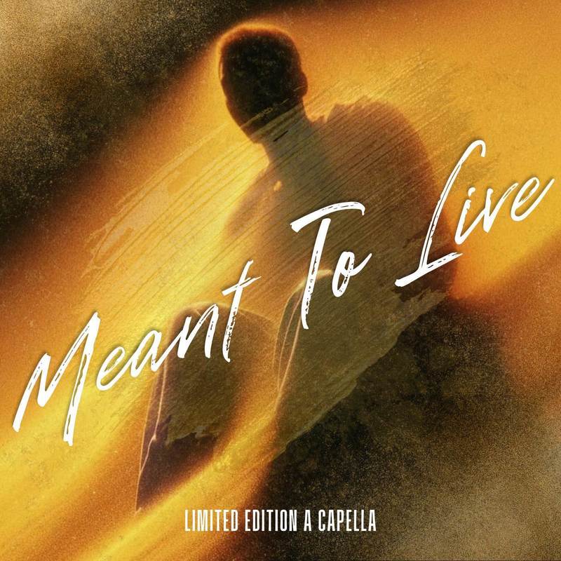 MeantToLive封面