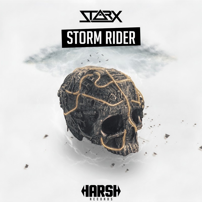 StormRider封面
