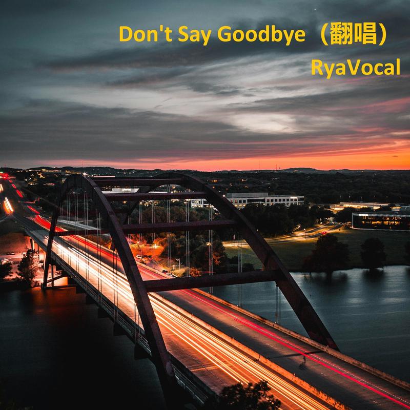 Don'tSayGoodbye封面