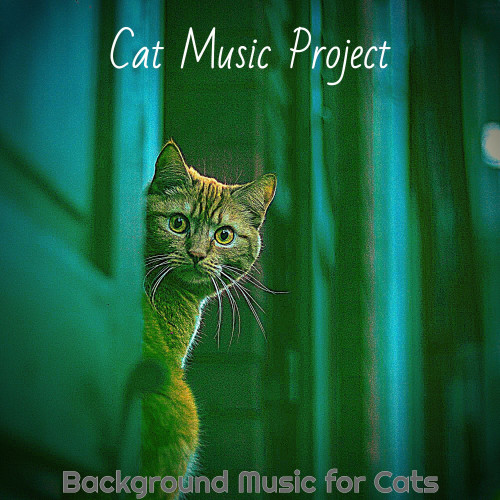MellowCats封面