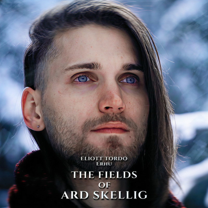 TheFieldsofArdSkellig封面
