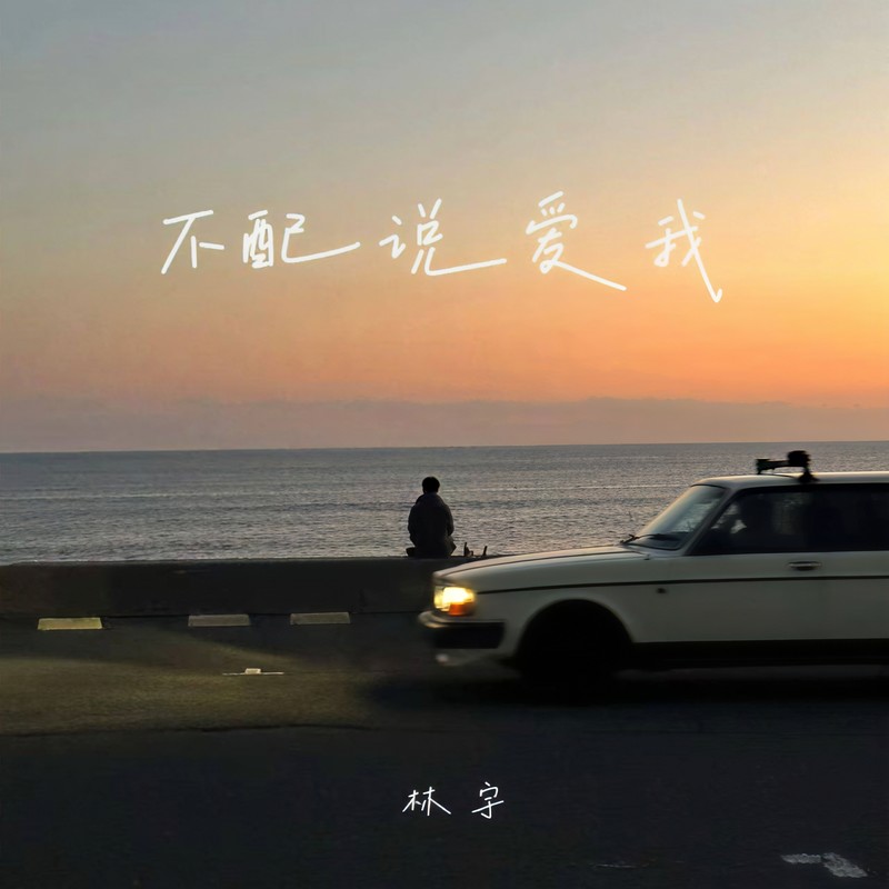 不配说爱我封面