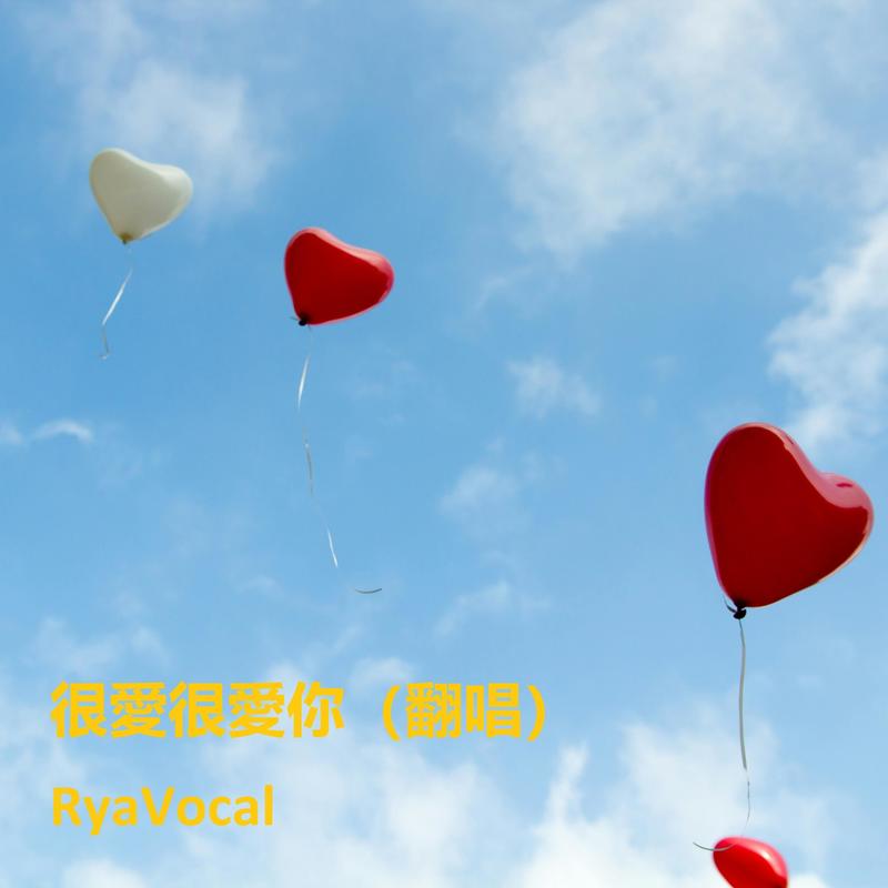 很愛很愛你封面