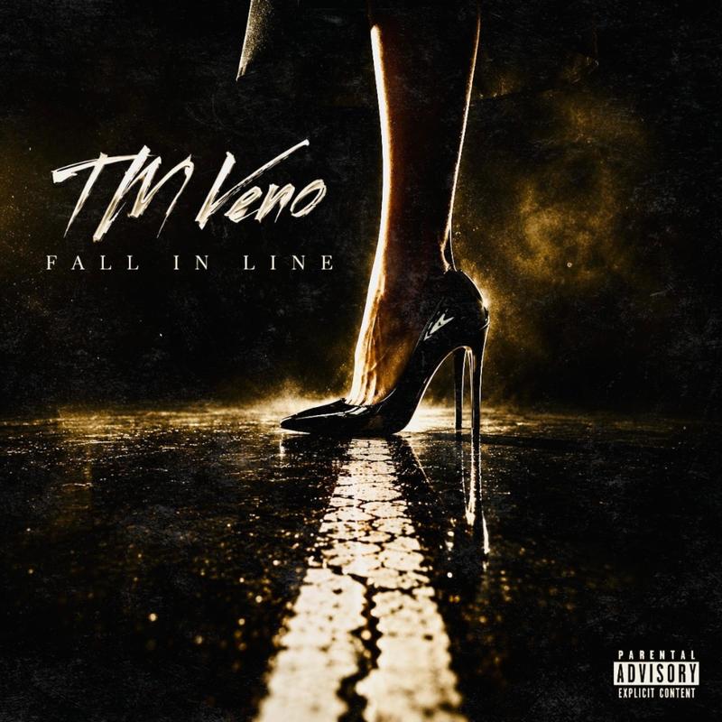 FallInLine封面
