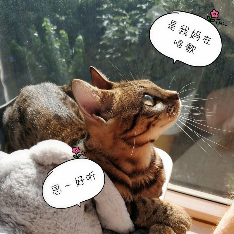 慕夏封面