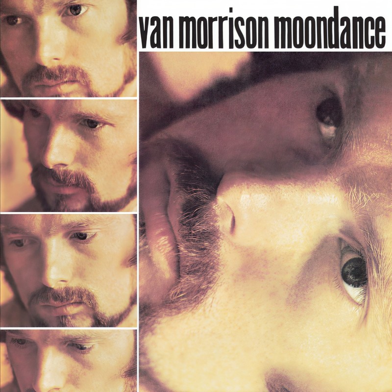 Moondance封面