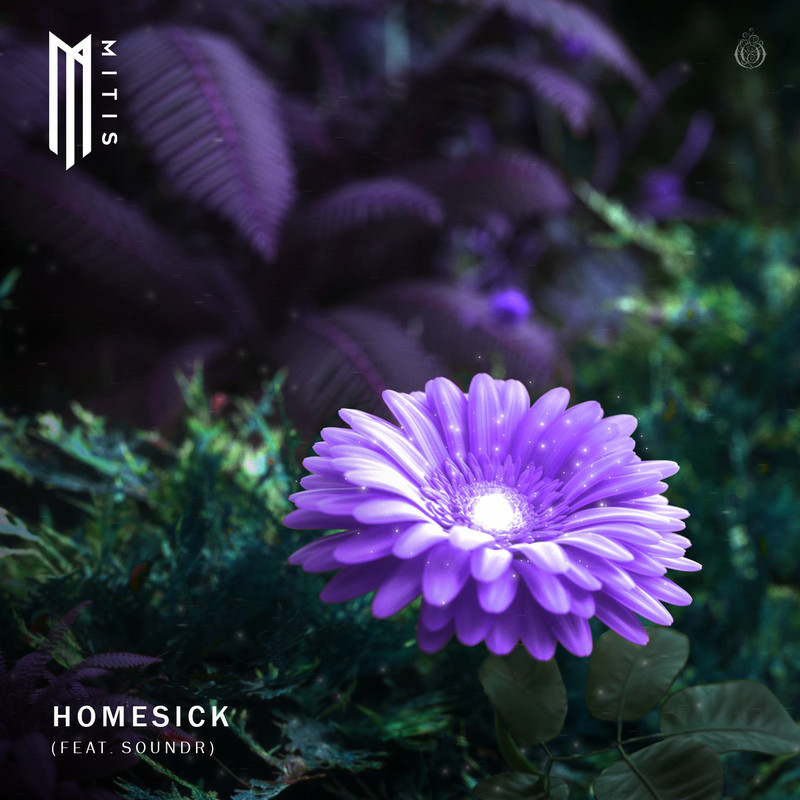 Homesick(feat.SOUNDR)封面