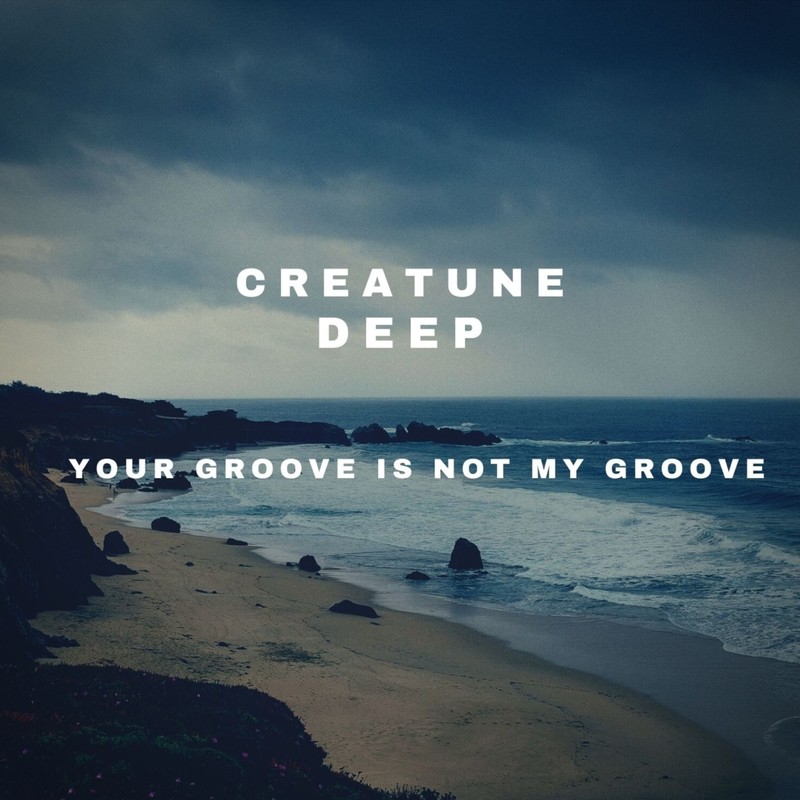 YourGrooveIsNotMyGroove封面