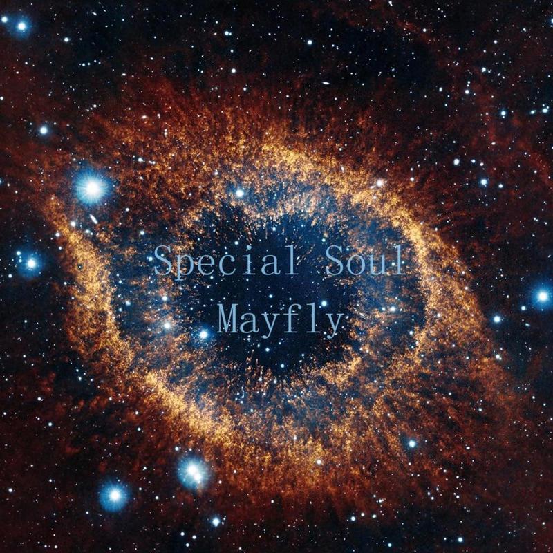 SpecialSoul封面