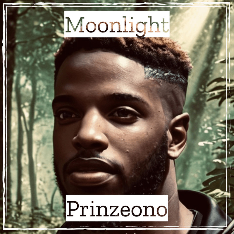 Moonlight封面