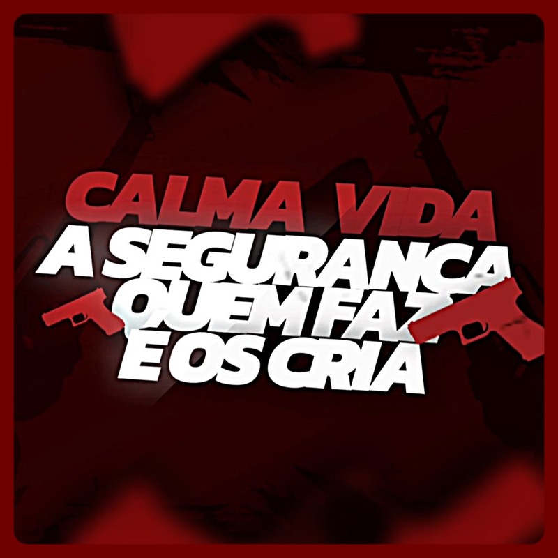 CalmaVida,ASegurançaQuemFazÉOsCria封面