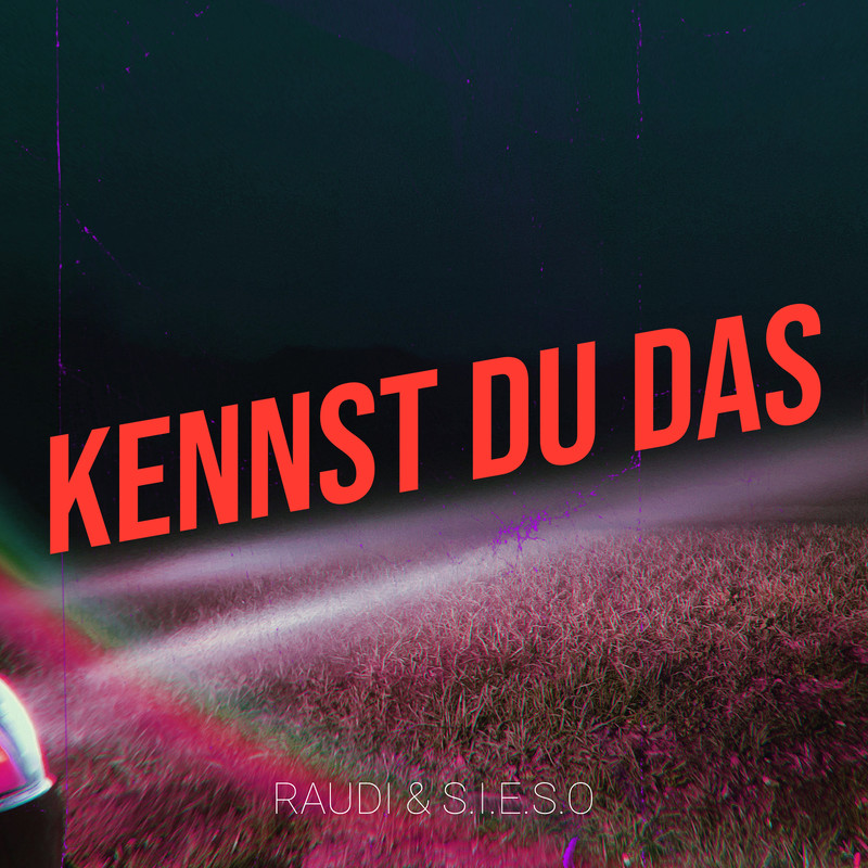 KennstDuDas封面