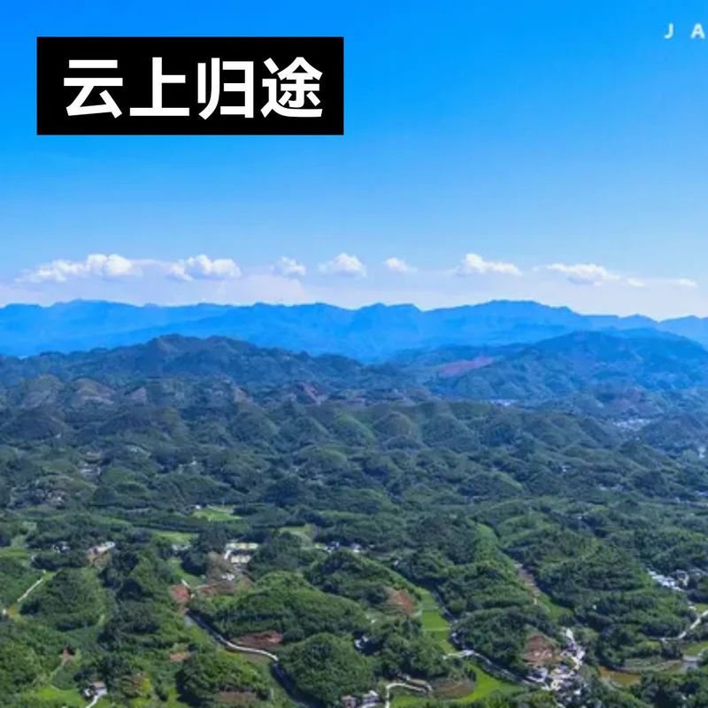 云上归途封面