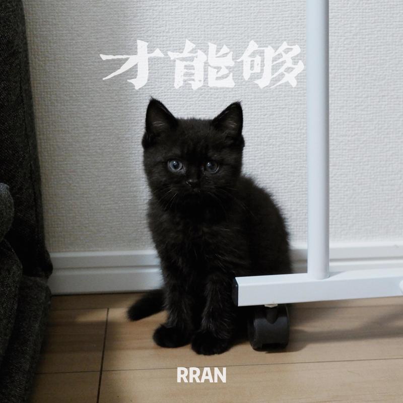才能够封面