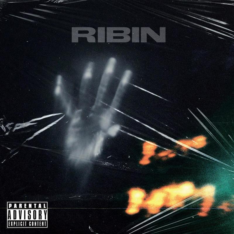 Ribin封面