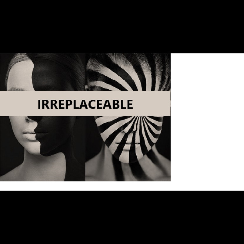 Can'treplace封面