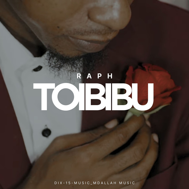 Toibibu封面