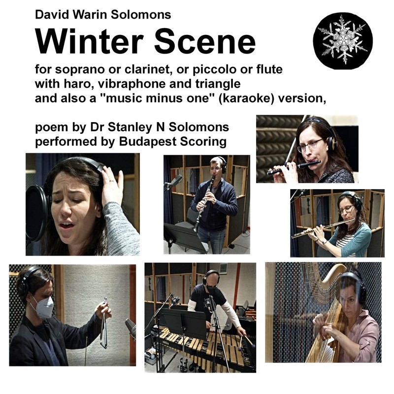 WinterScene(Karaoke)[MusicMinusOne][VersionforHarp,VibraphoneandTriangle]封面