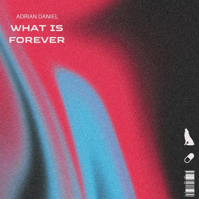 WhatIsForever封面