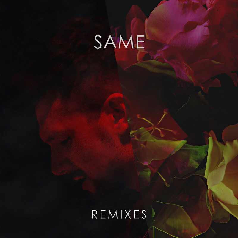 Same封面