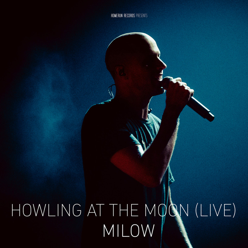 HowlingattheMoon封面