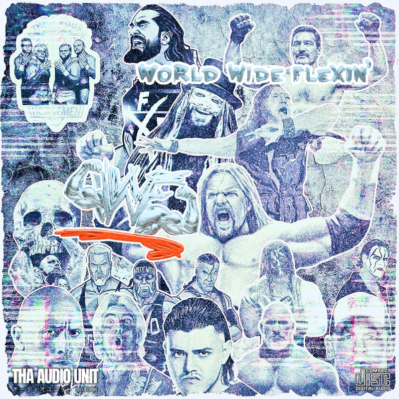SethRollins(BurnItDown)封面