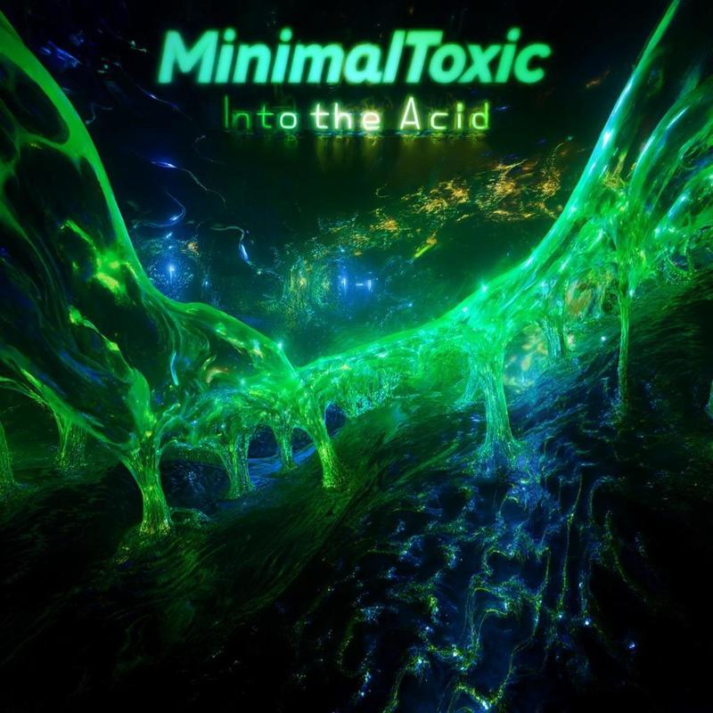 IntotheAcid封面