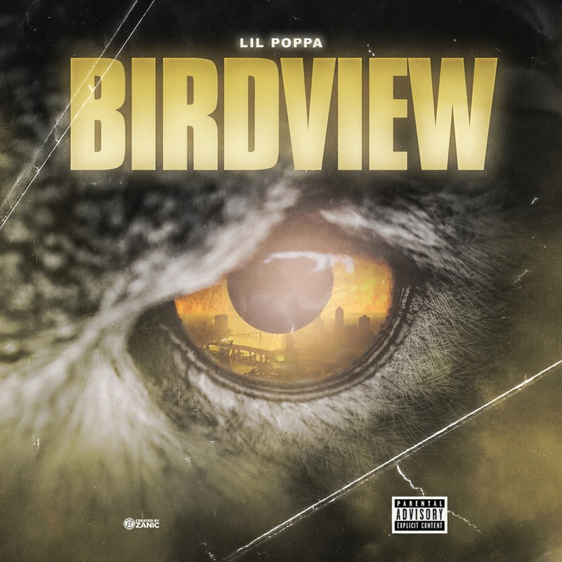 Birdview封面