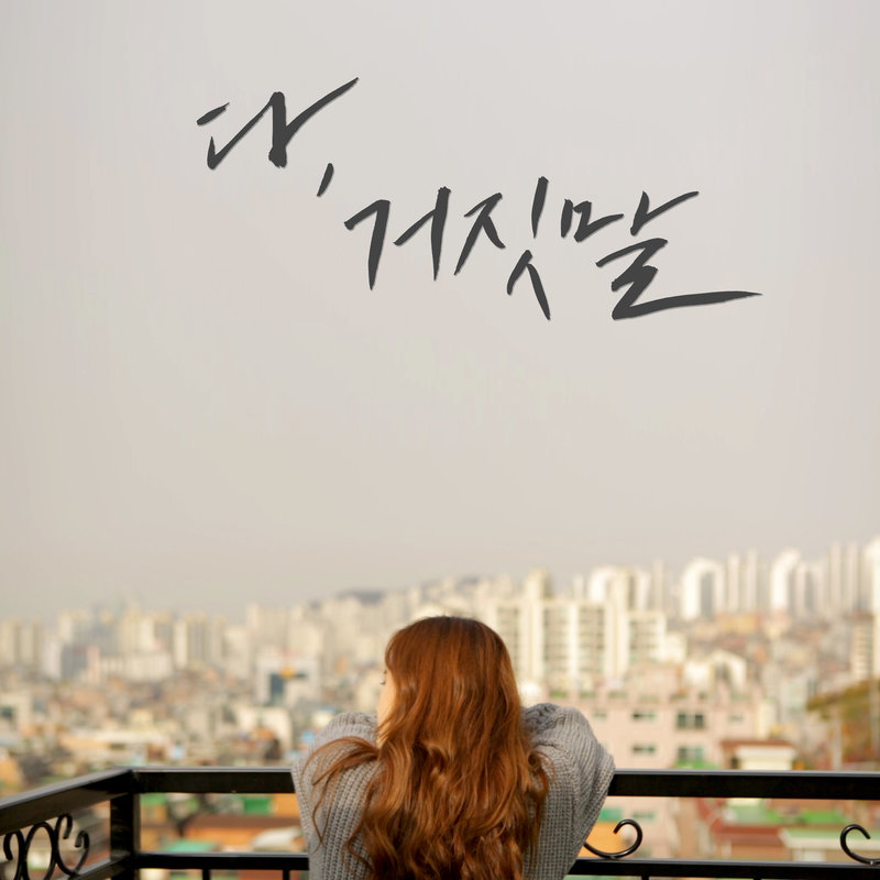 다거짓말封面