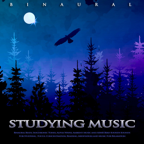 AlphaWavesStudyAid封面