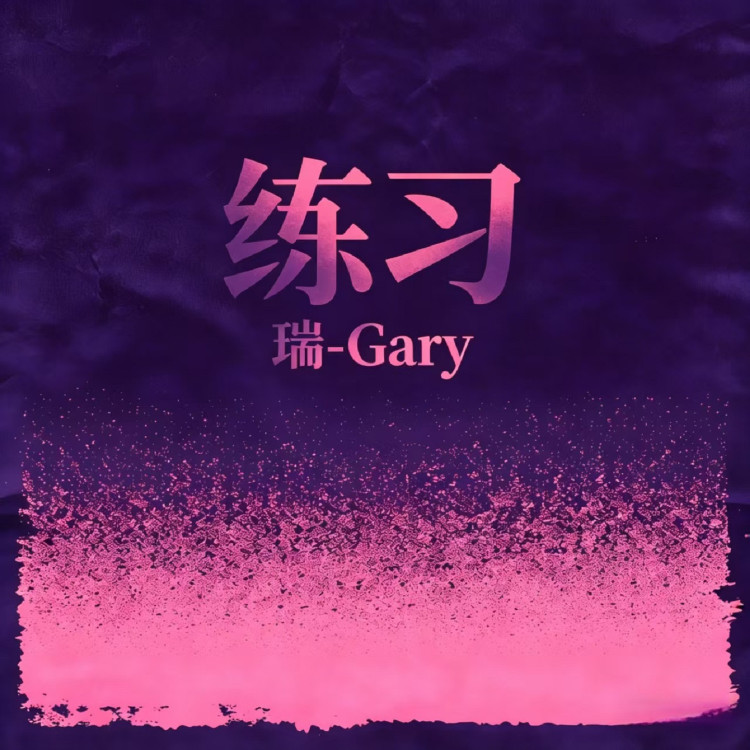 练习(慢摇版)封面