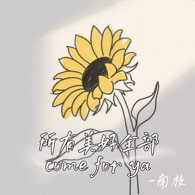 所有美好全部comeforya封面