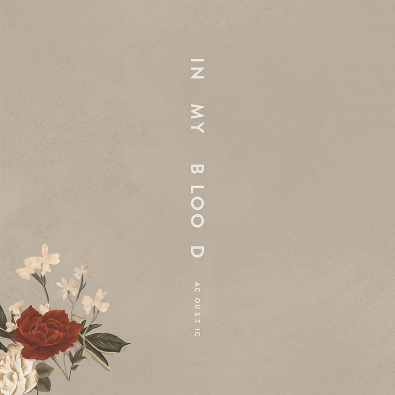 InMyBlood封面