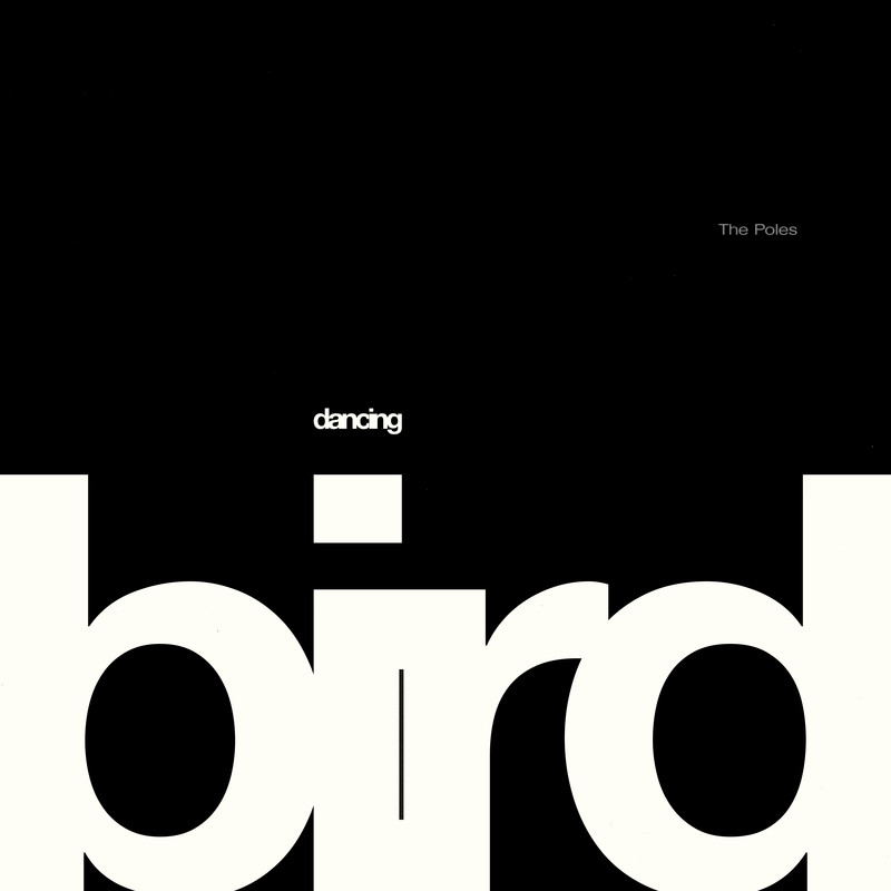 DancingBird封面