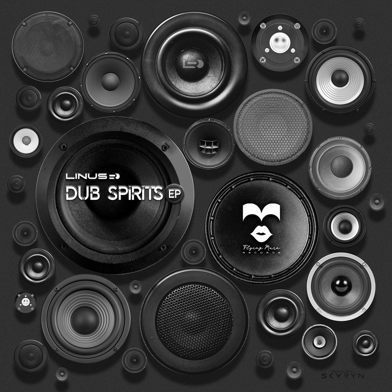 DubSpirits封面