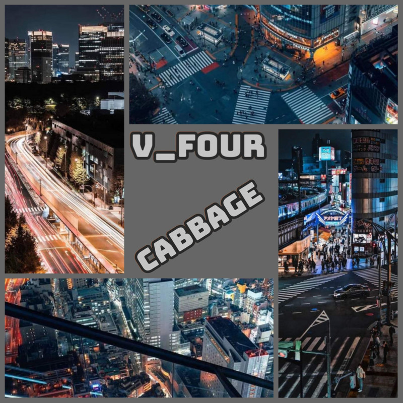 Cabbage封面