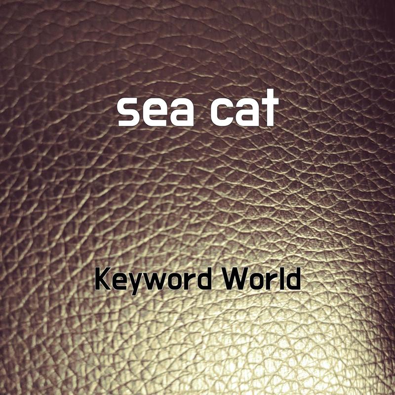 seacat封面