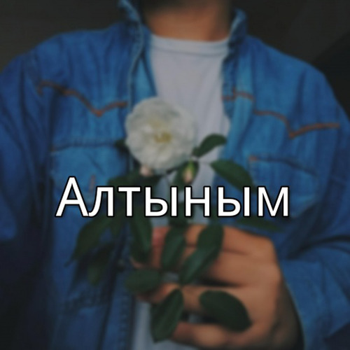 Altunum封面
