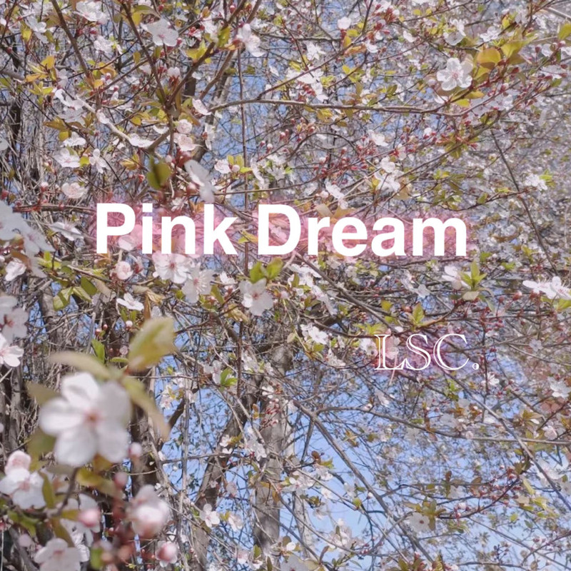 PinkDream封面