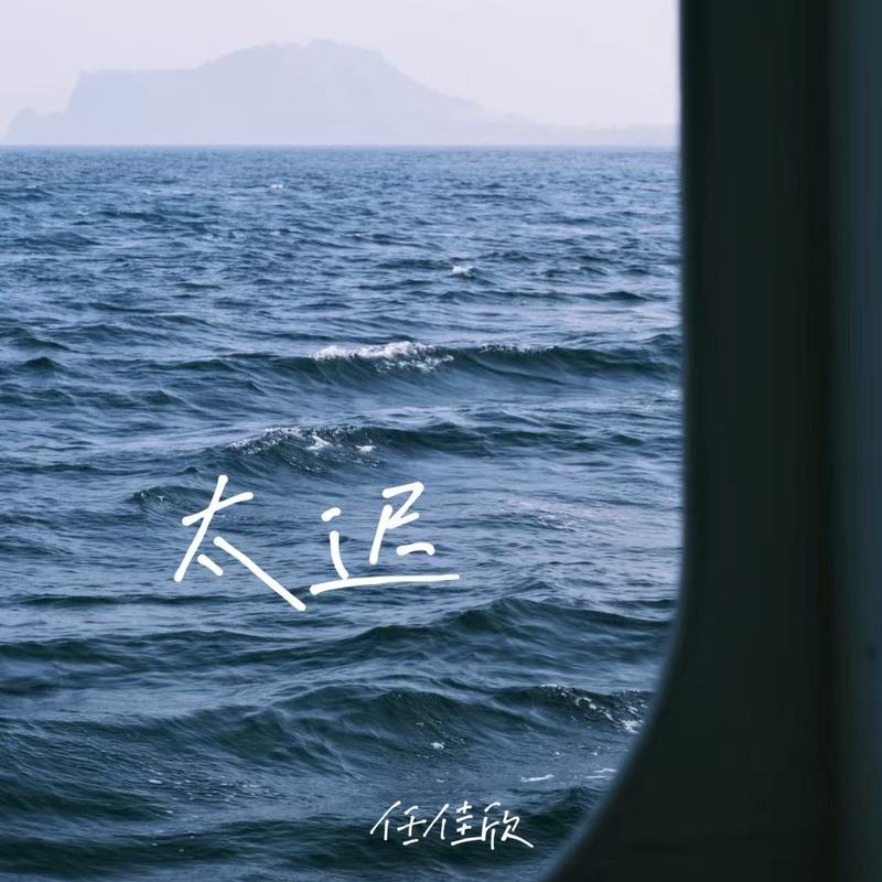 太迟封面