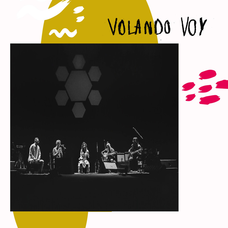 VolandoVoy封面