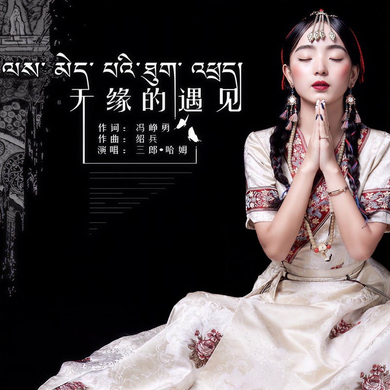无缘的遇见封面
