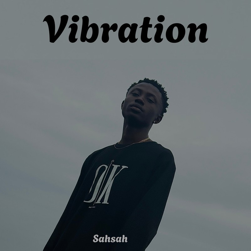 Vibration封面