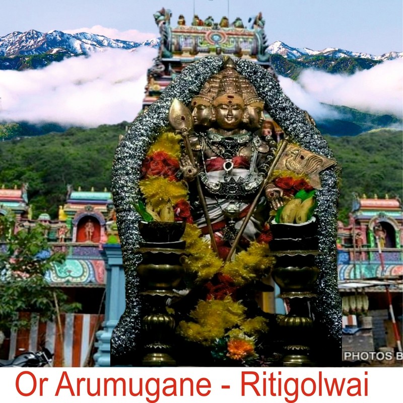 OrArumugane封面