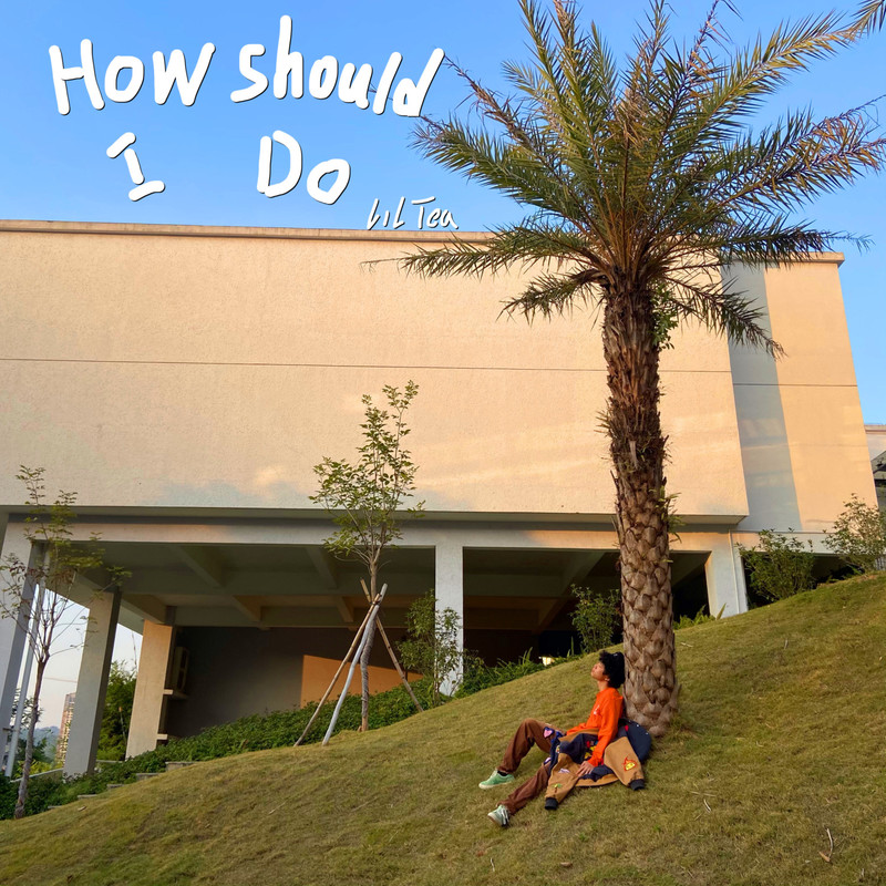 HOWSHOULDIDO封面