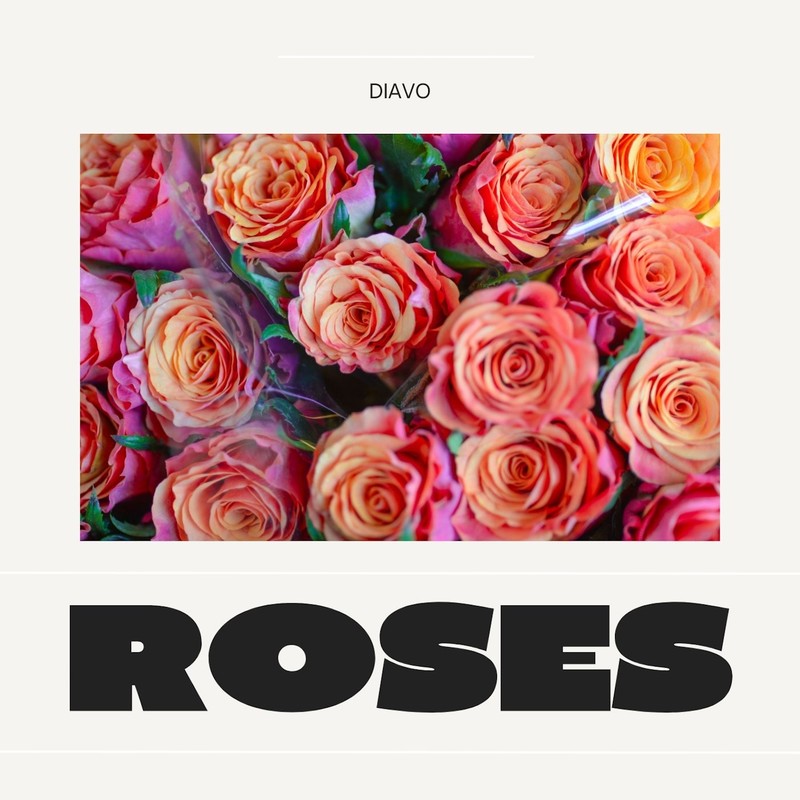 Roses封面
