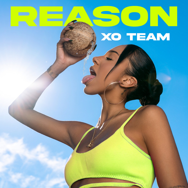 Reason封面