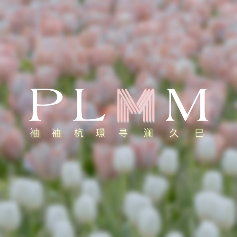 PLMM封面
